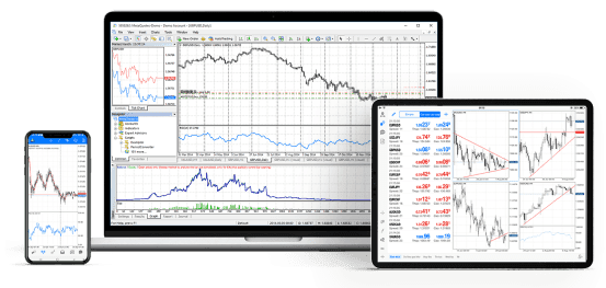 Screenshots of the dashboard project showing desktop version
